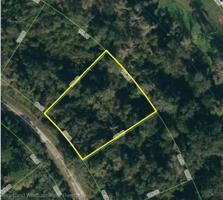 1219 Cacao Road