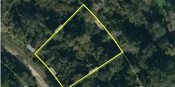 1219 Cacao Road