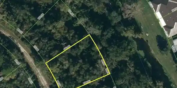 1217 Cacao Road