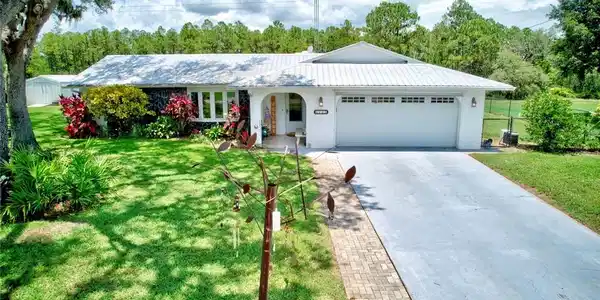 143 Tortoise Road