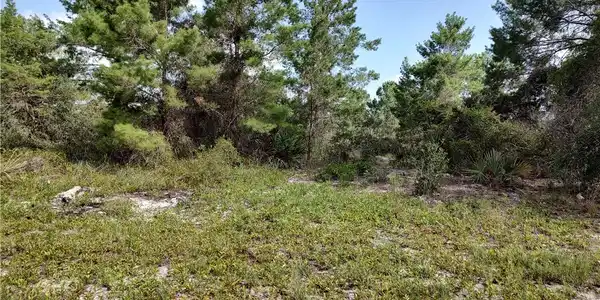 106 Rocky Road NW