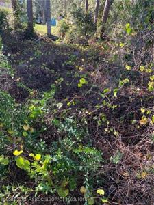 365 Bottlebrush Avenue