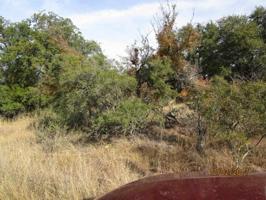 lot 659 & 660 E Cedarhill Drive