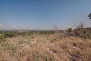 Lot 1314 Quarter Horse Circle