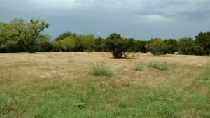 Lot W22044 Sunray & Leftward