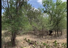 TBD 404 & 405 W Sweetbriar Drive