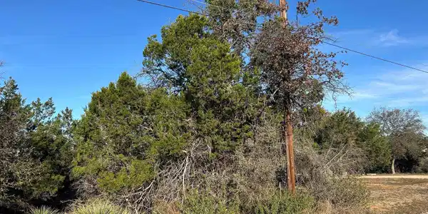 Image 3 Image 3