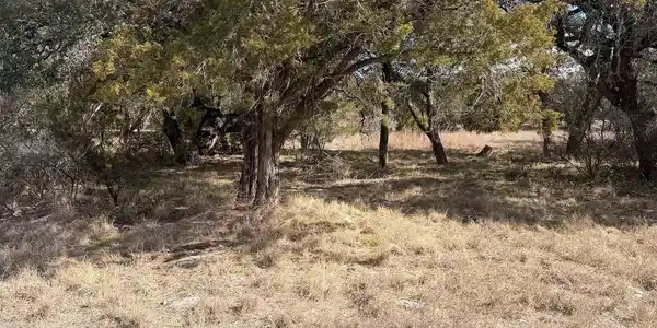 Image 4 Image 4