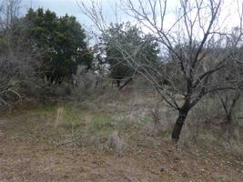Lot 94 Calle Cortez