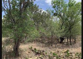 TBD 404 & 405 W Sweetbriar Drive