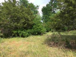200 Block Sandy Mountain Drive