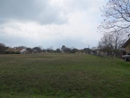 Lot 374 Bobolink