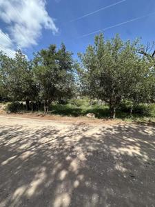 Lot 129 Eastwood Dr