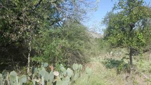 lot 398,399,400 W Sweetbriar Drive