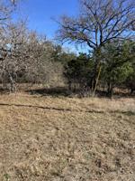 Lot 207 Pecan
