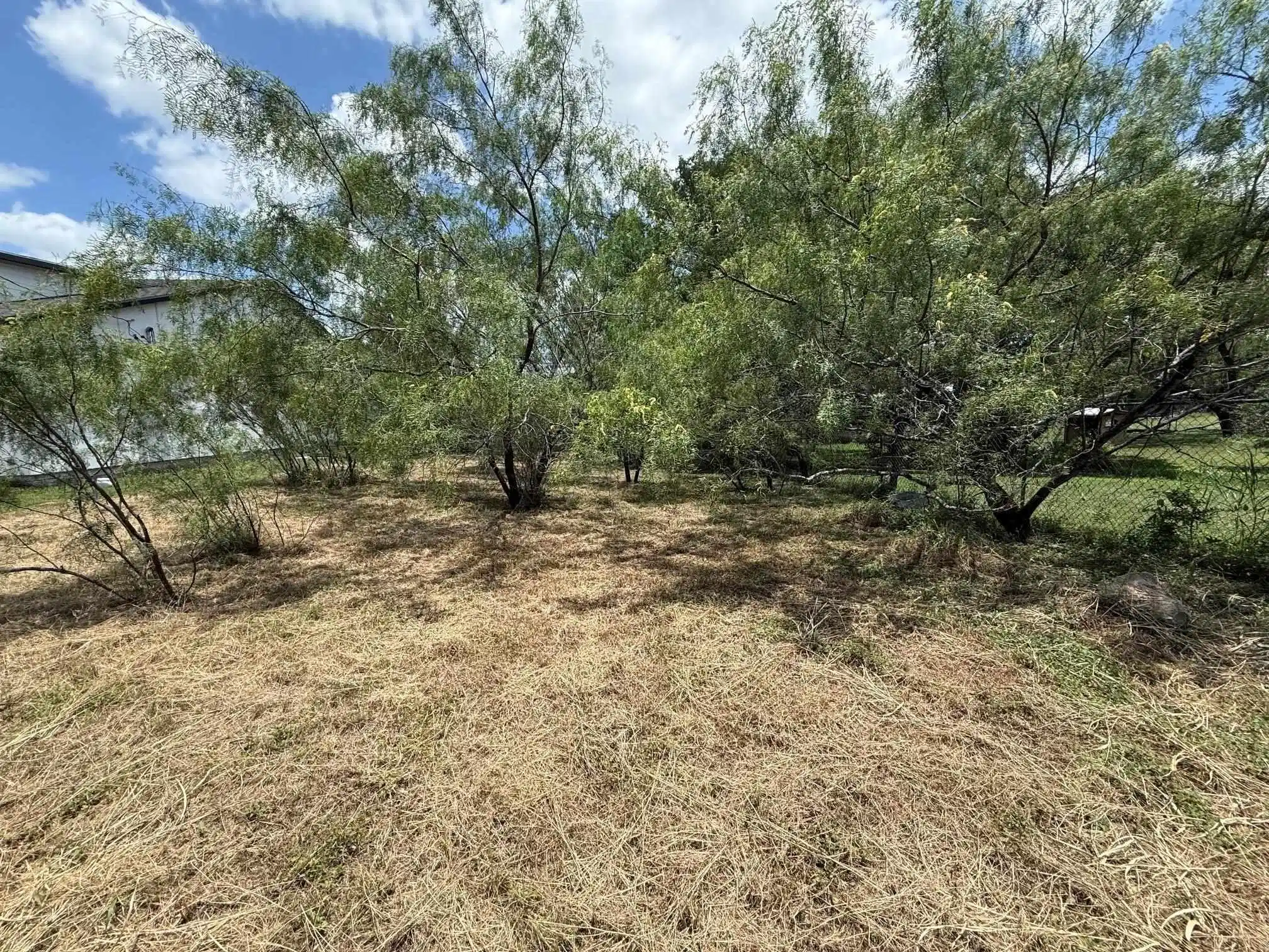 Image 1 Image 1