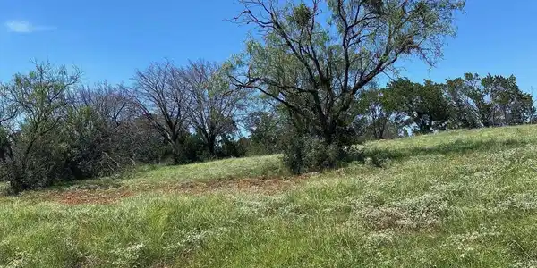 Image 3 Image 3