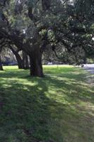 Lot#69 Pecan Creek Drive