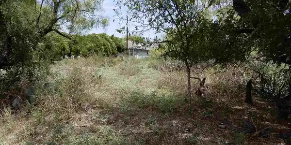 Lots 154, 155 Magnolia Ln