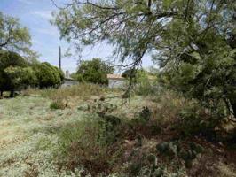 Lot 160,161,162 Magnolia Ln