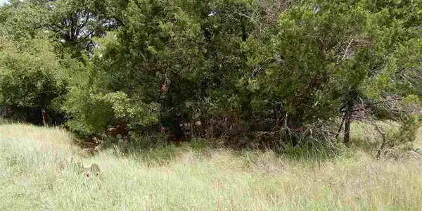 Lots 205, 206 Pecan Ln