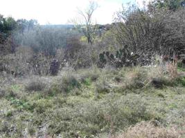 Lot 158 N. Blue Ridge Trail