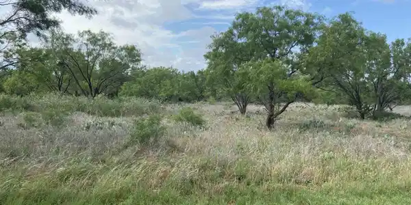 Image 3 Image 3
