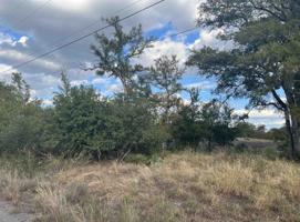 Lot 150 & 151 Glen Forest Drive