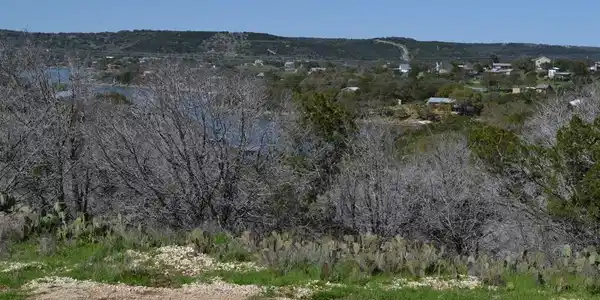 Image 3 Image 3