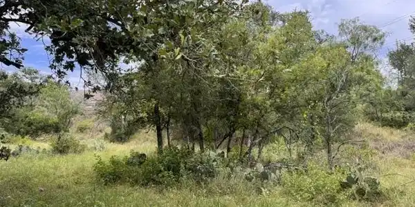 Image 2 Image 2