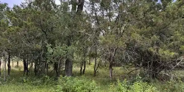 Image 4 Image 4