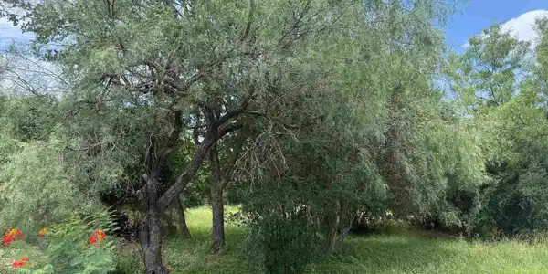 Image 2 Image 2