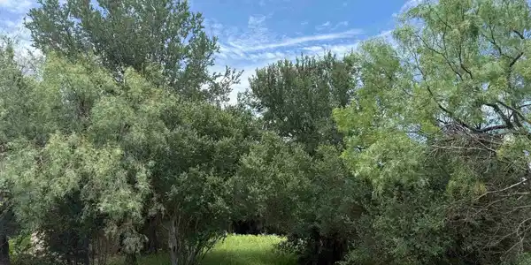 Image 3 Image 3