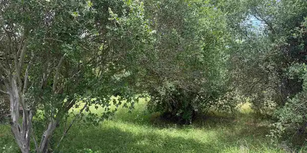 Image 4 Image 4