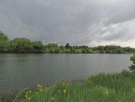 Lot 38 Lone Oak Dr.