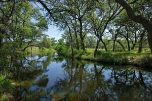 Lot 66 The Trails Parkway (Creekside)