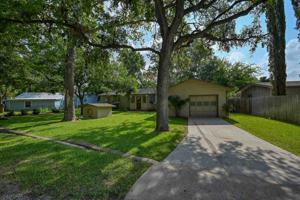 303 Oleander