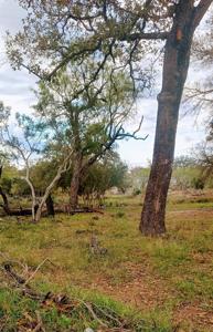 Lot 902 E Castleshoals Drive