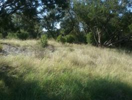 00 Deerhaven Dr Drive