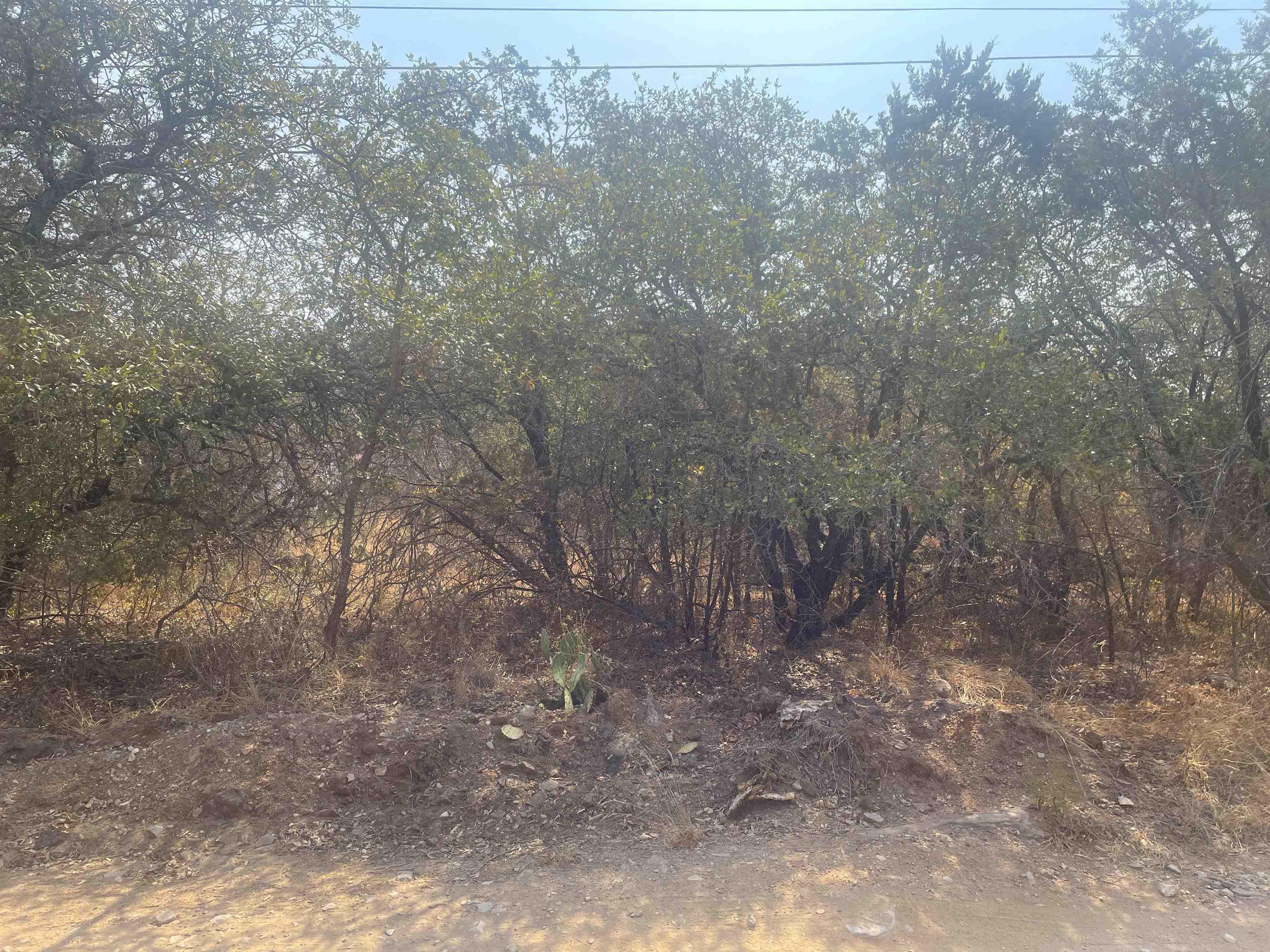 Image 4 Image 4