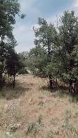 LOTS 576-579 Woodland Hills Drive