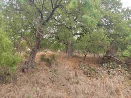 TBD Hilldale lot 77