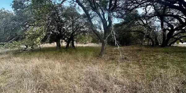 Image 4 Image 4