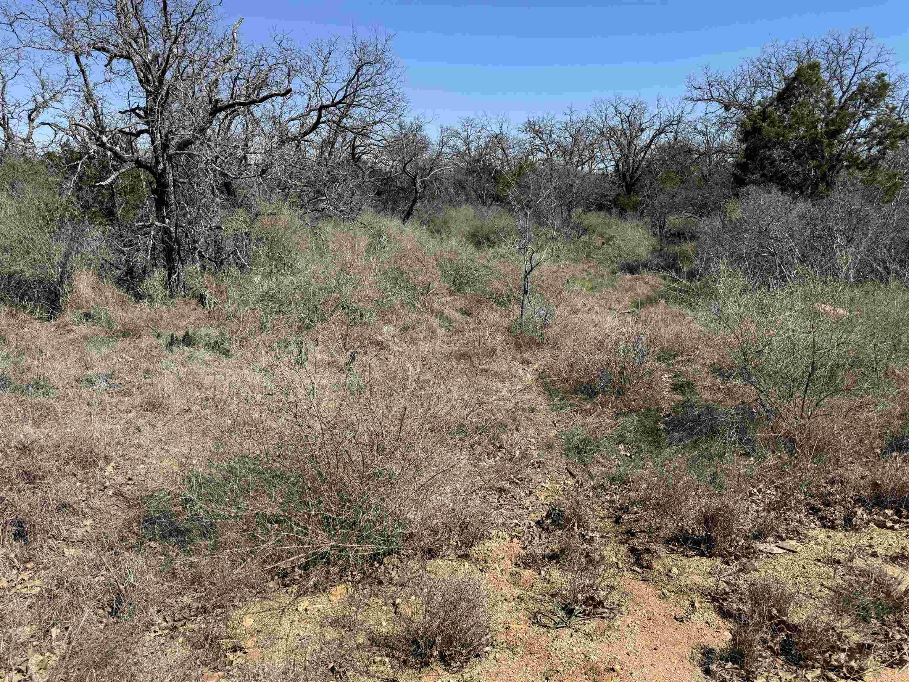 Image 4 Image 4