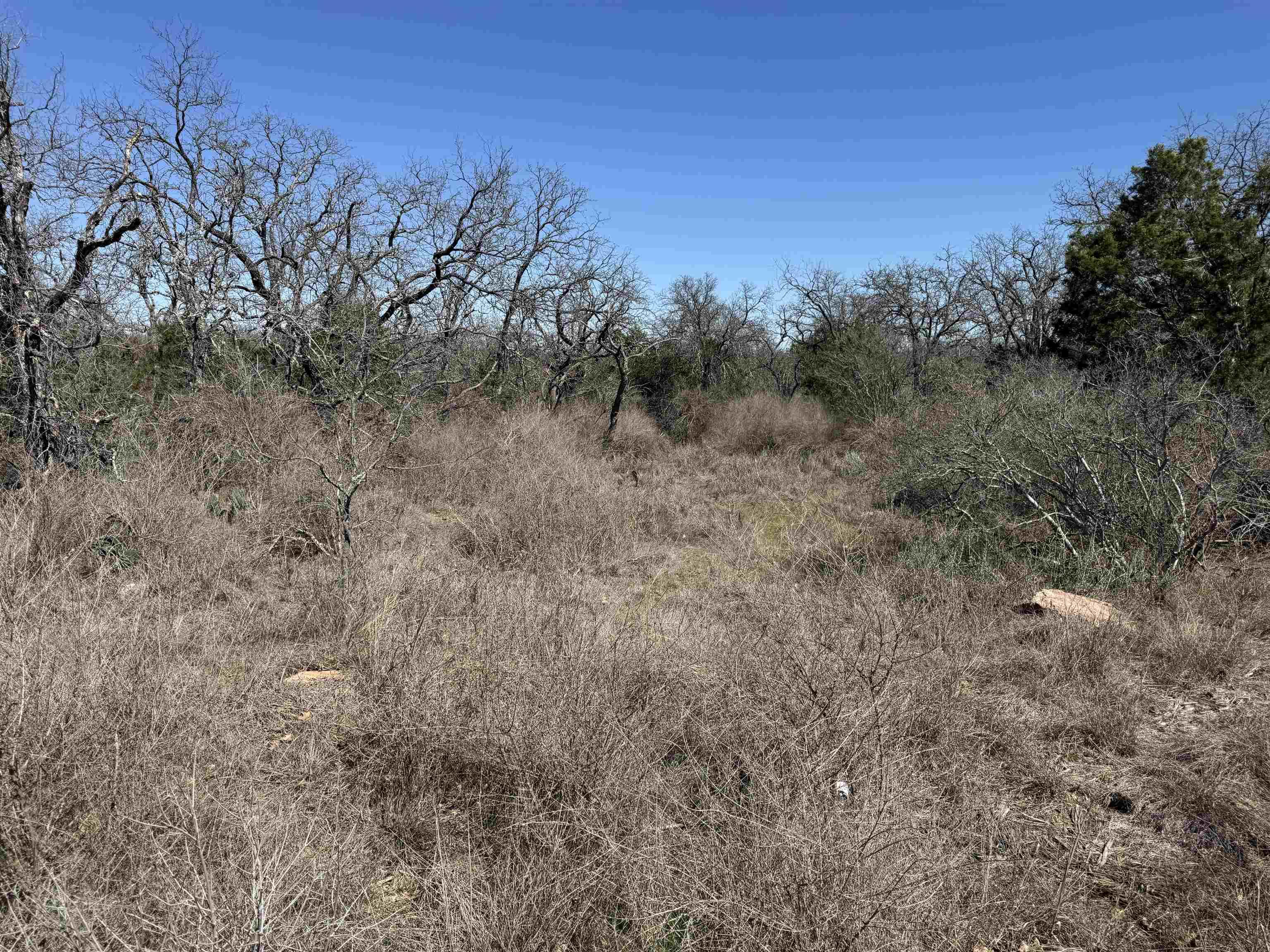 Image 4 Image 4