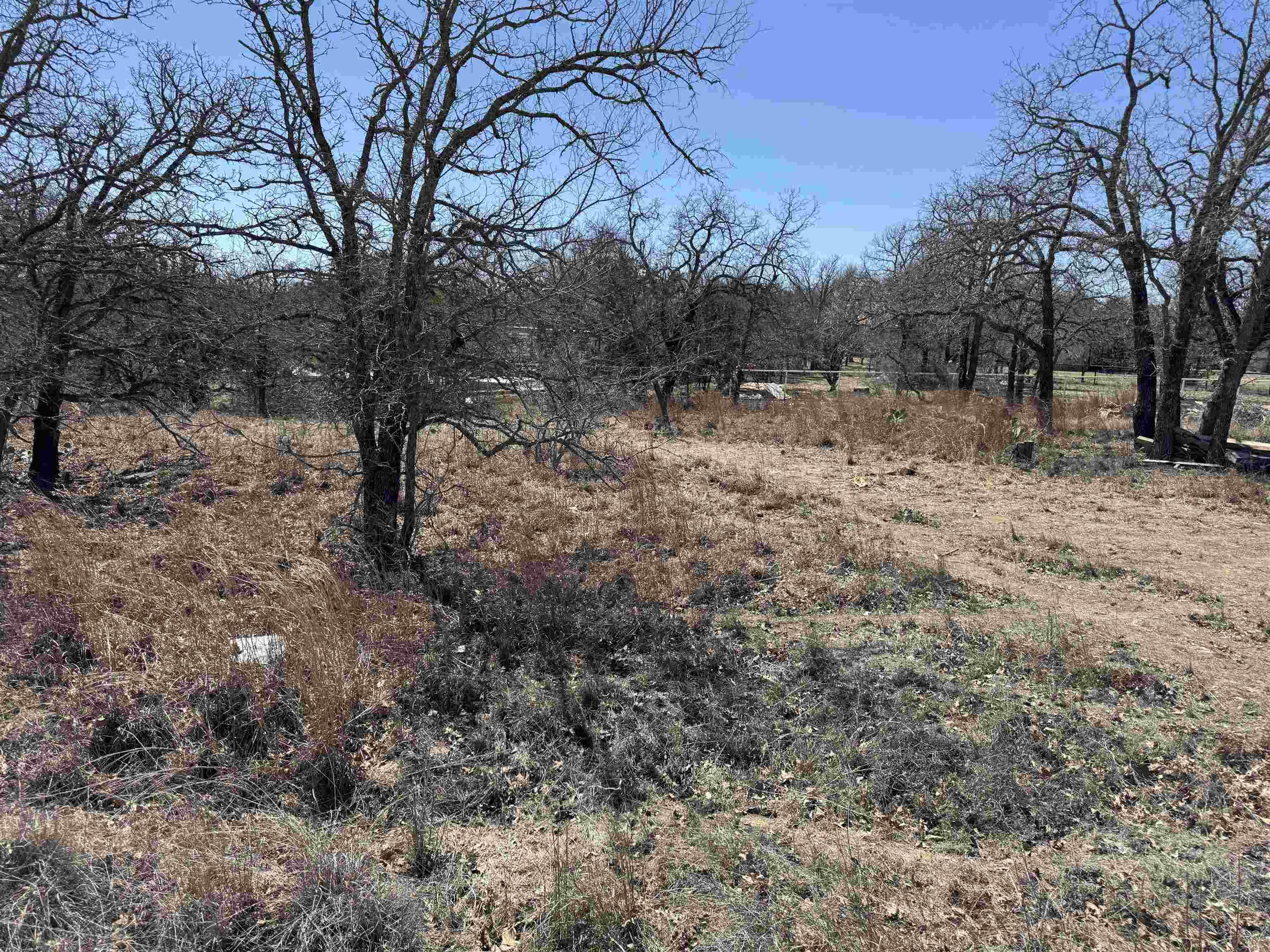 Image 4 Image 4