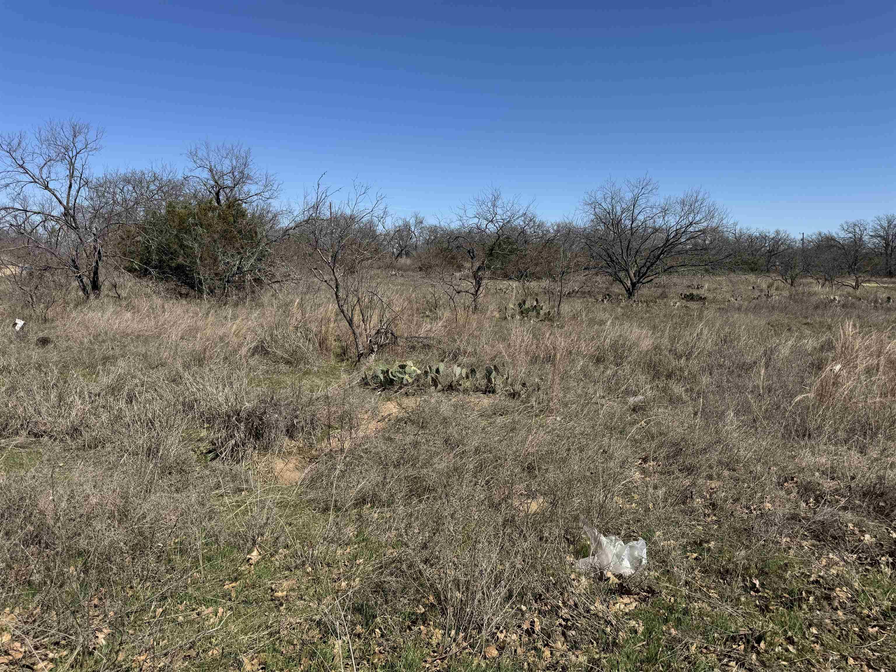 Image 4 Image 4