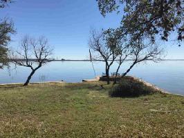 10994 FM 2341 White Bluff