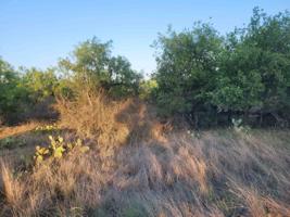 TBD Concho Concho Trail