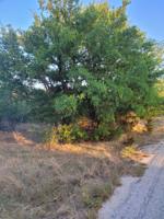 TBD CONCHO Trail